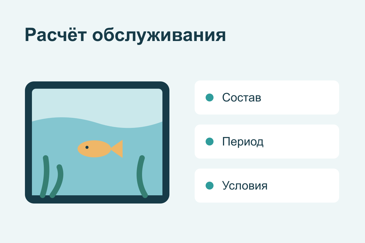 Как сравнить стоимость обслуживания аквариума: что уточнить в расчёте