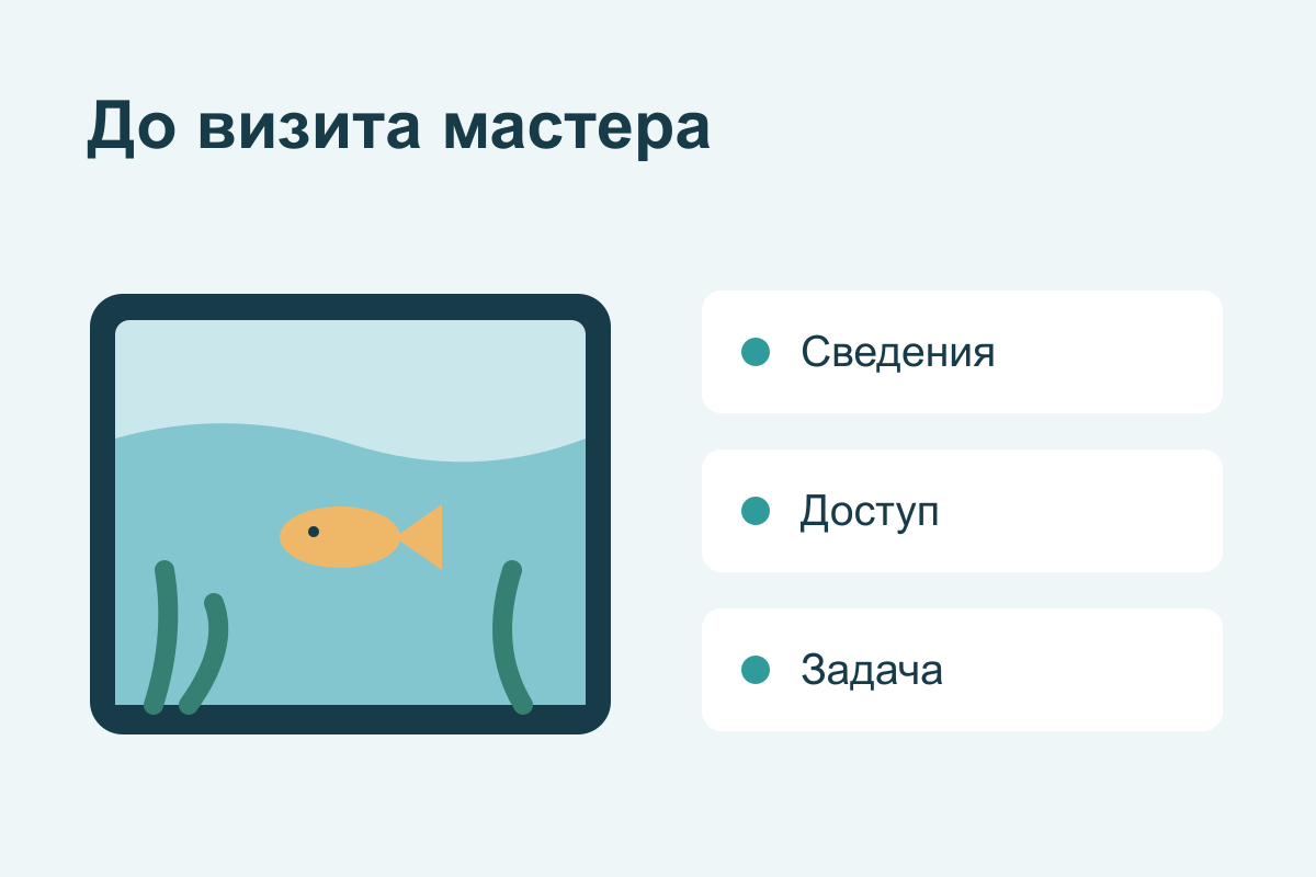 Как подготовиться к визиту аквариумиста: сведения и доступ к аквариуму
