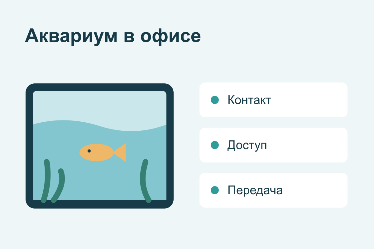 Обслуживание аквариума в офисе: как организовать доступ и передачу информации