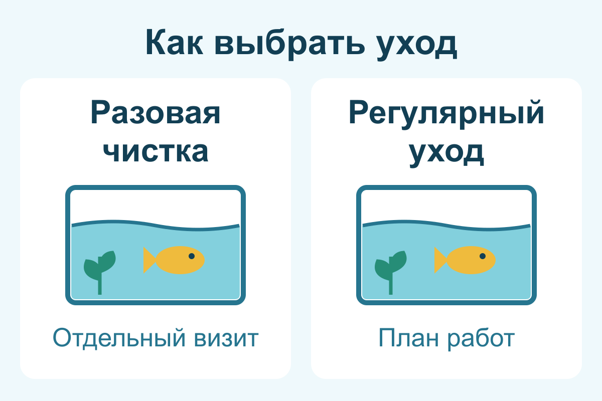 Разовая чистка или регулярное обслуживание аквариума: как выбрать